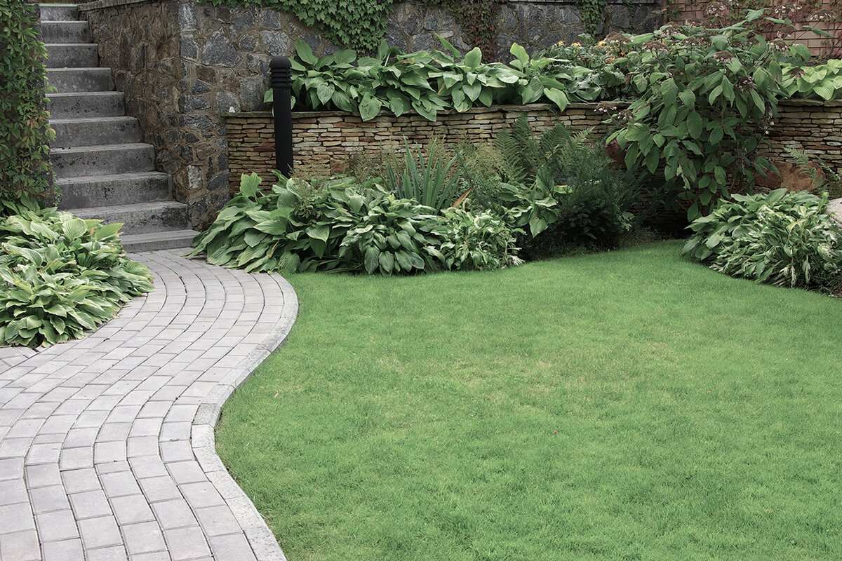 Welcome to Kings Landscaping